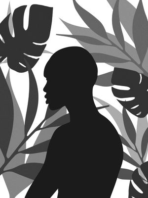 BRAVE IN THE FOREST 001 PB