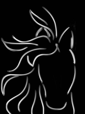 HORSE W_B