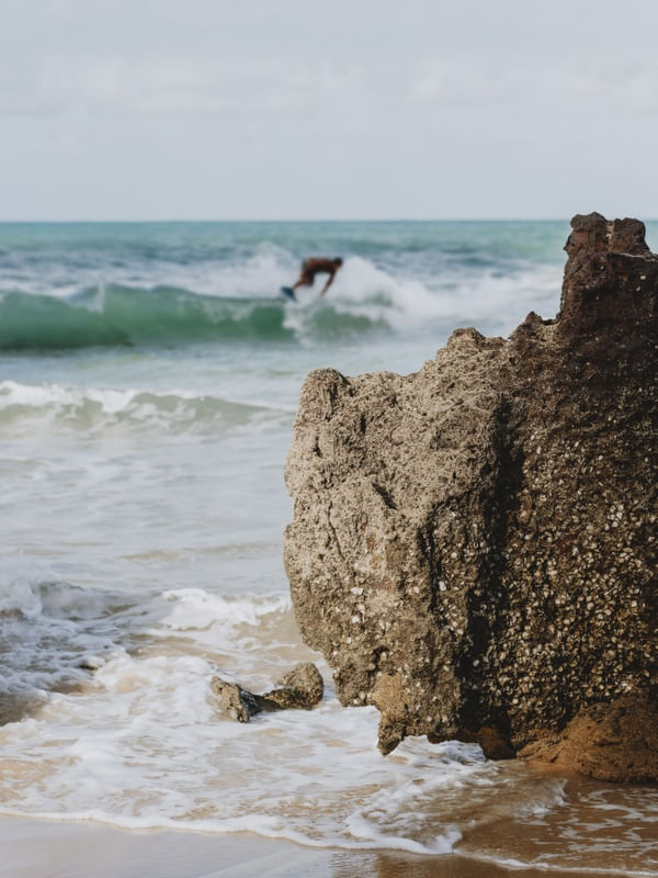 INSIDE THE SURF