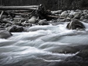 #1 VANCOUVER