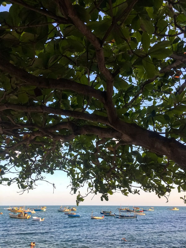 BAHIA 1.1