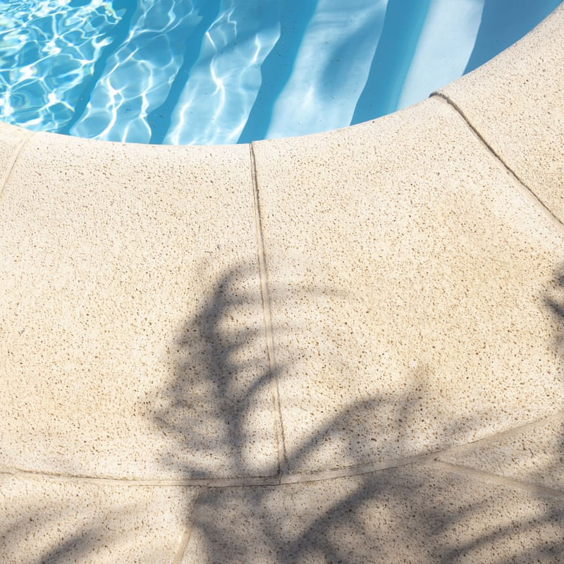 TROPICAL SHAPES1