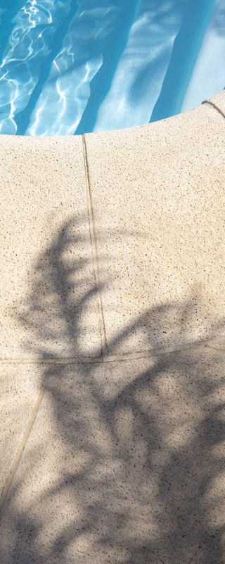 TROPICAL SHAPES2