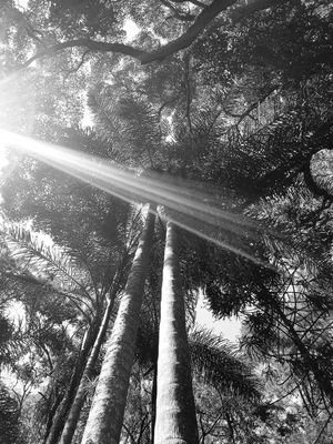 NATUREZA 1.4