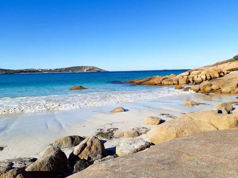 PARAÍSO AUSTRALIANO