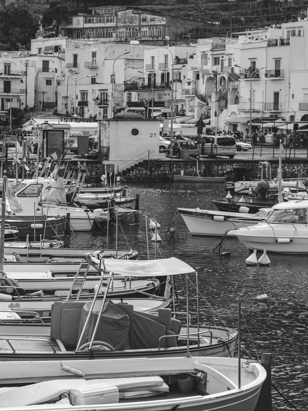PHOTOCAPRI 1