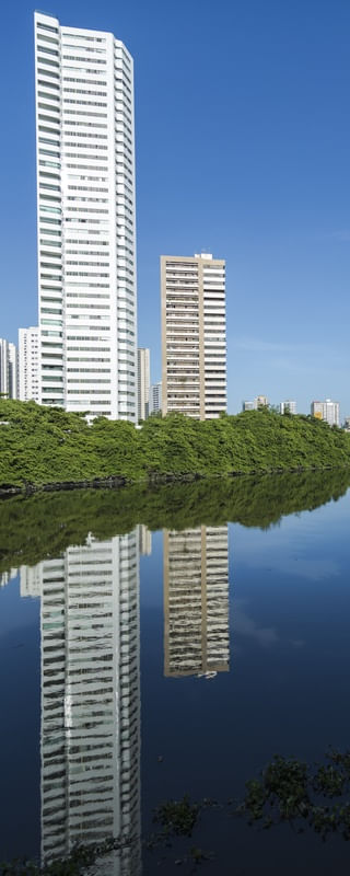 REFLEXO II