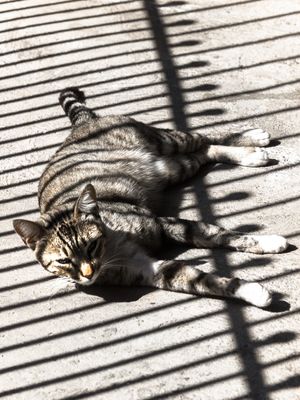 BANHO DE LUZ E SOMBRA.