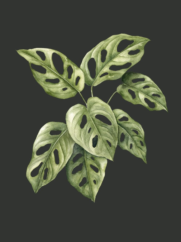 FOLHAS ANDASSONI AQUARELA FUNDO VERDE