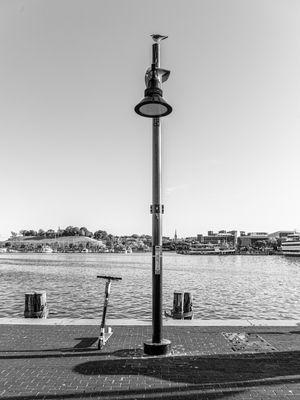 POSTE E O POMBO