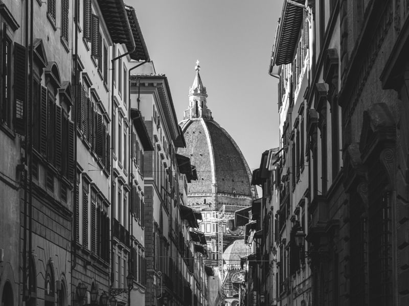 PHOTORENÇA 11