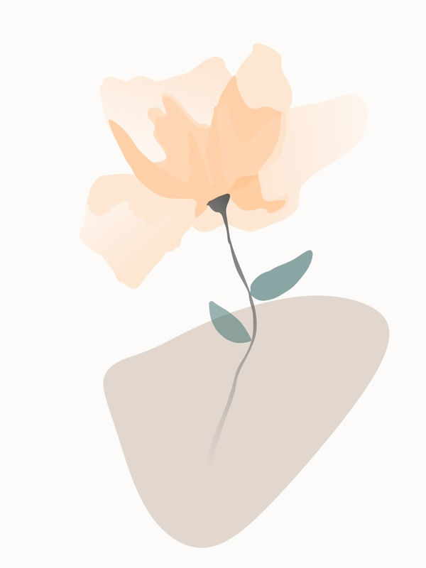 SUAVIDADE EM FLOR