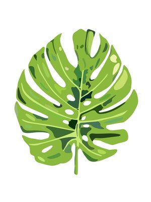 EXPERIÊNCIA VERDE