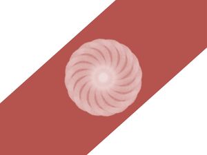 A MANDALA DE UMA CRIANÇA