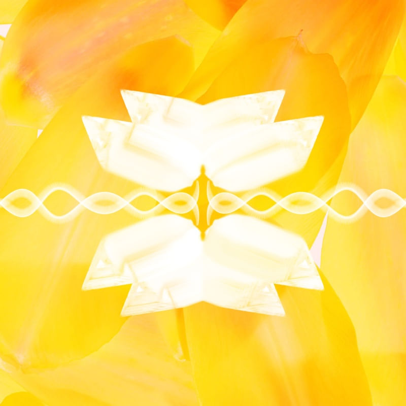 COLEÇÃO AMARELO - ATO 03