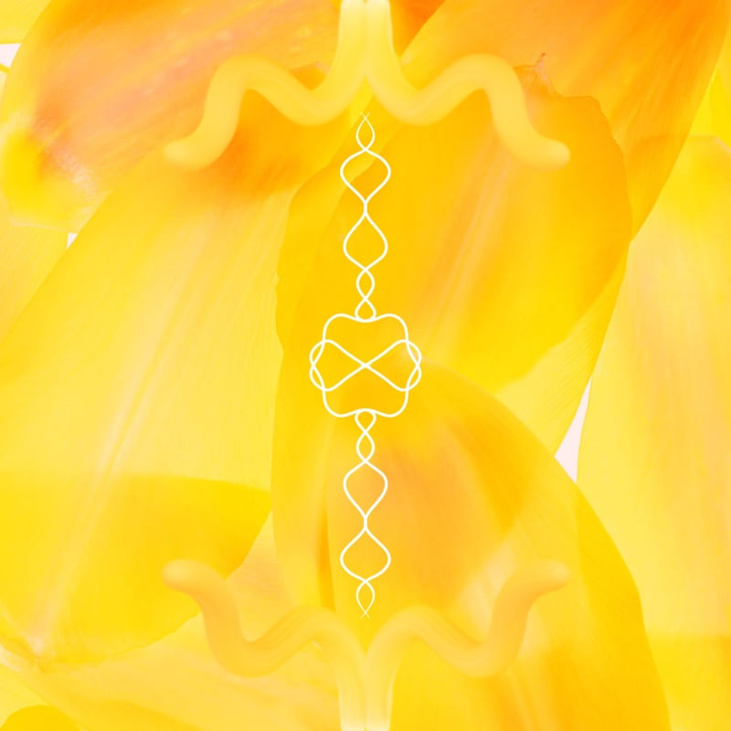 COLEÇÃO AMARELO - ATO 02