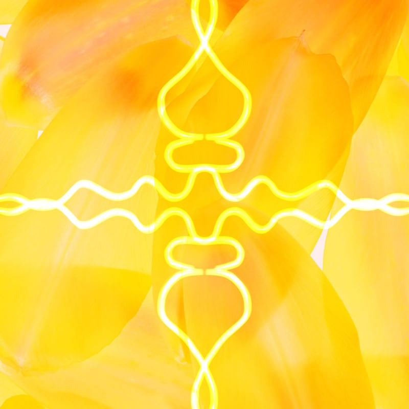 COLEÇÃO AMARELO - ATO 06
