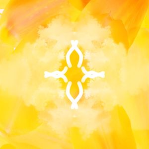 COLEÇÃO AMARELO - ATO 04