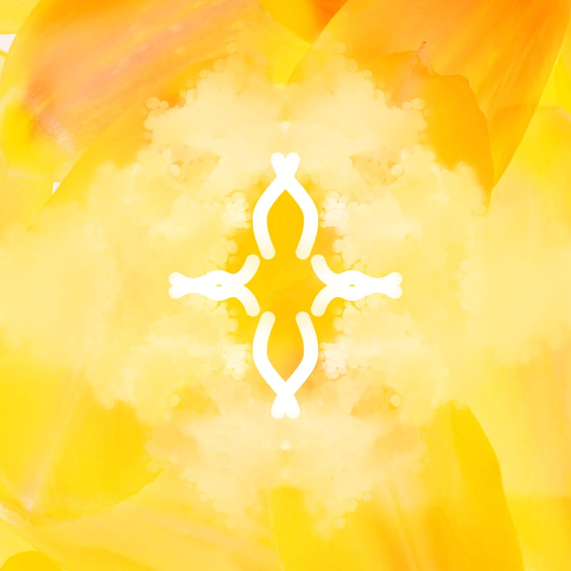 COLEÇÃO AMARELO - ATO 04