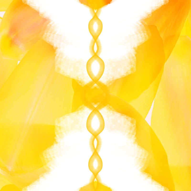 COLEÇÃO AMARELO - ATO 01