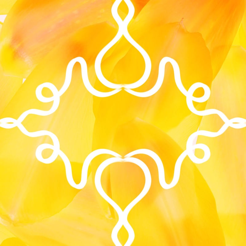 COLEÇÃO AMARELO - ATO 05