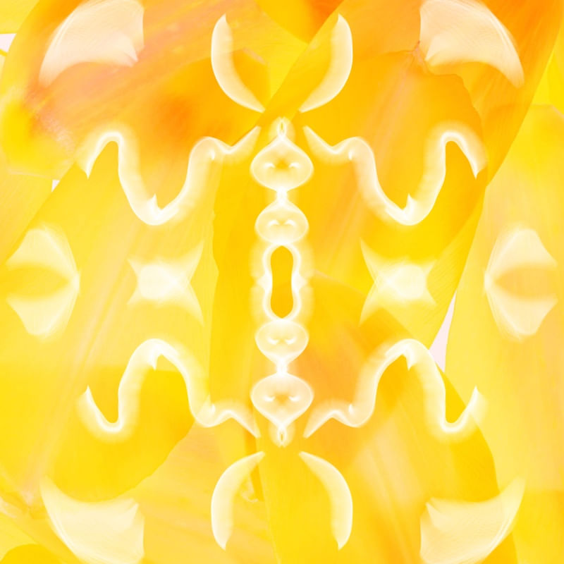 COLEÇÃO AMARELO - ATO 08