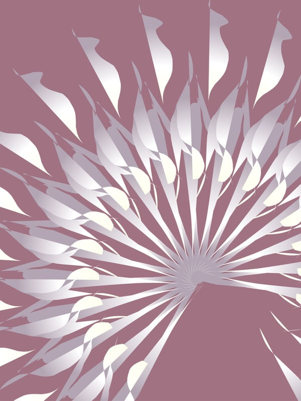 FORMAS COM ROSA