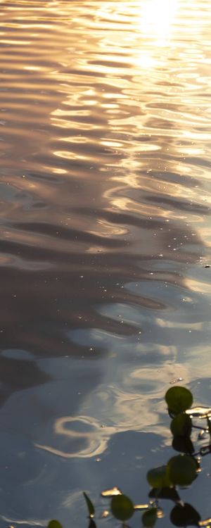 GOLDEN HOUR 1