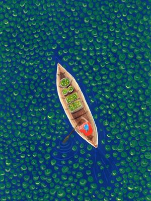 CANOA NO RIO DE PLANTAS
