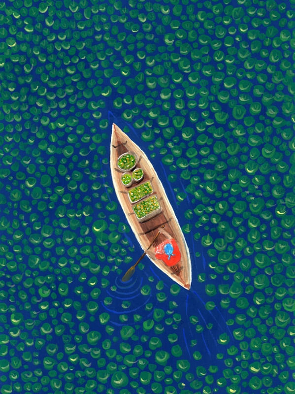 CANOA NO RIO DE PLANTAS