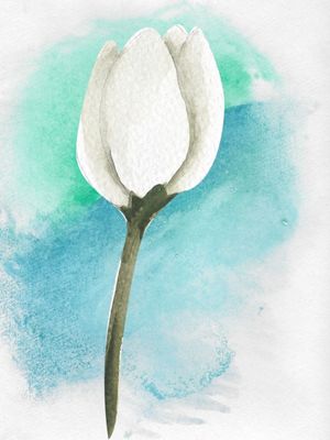 FLOR DO AZUL