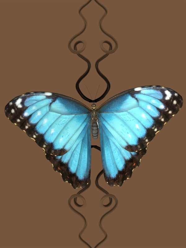 A BORBOLETA DA MUDANÇA