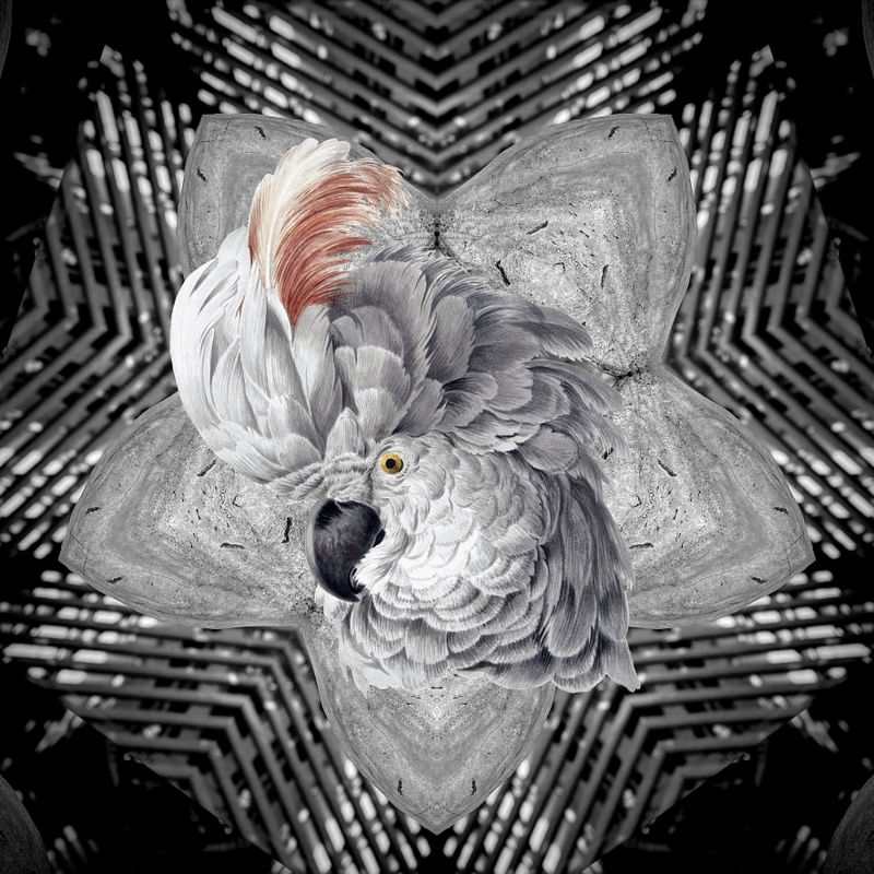 ANIMAL MAJESTOSO
