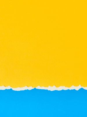 CONTRASTE DO VERÃO