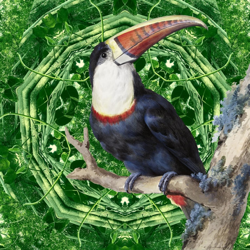 ANIMAIS & AMAZÔNIA