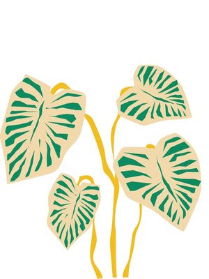 NATURA OURO