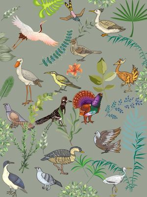 ENCONTRO DAS AVES