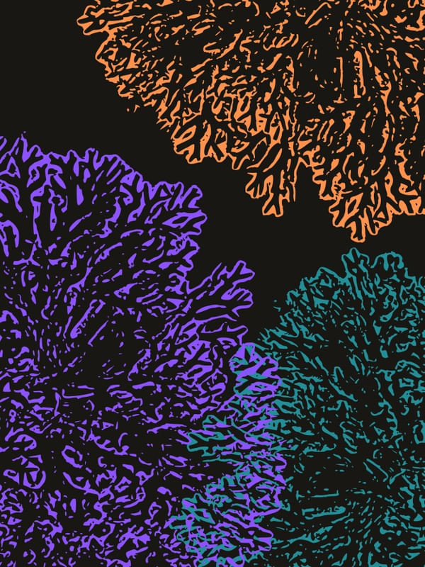 CORES E ENERGIA