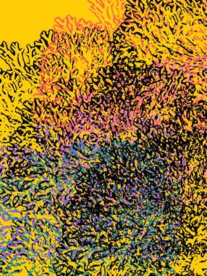 CORES NA VIDA