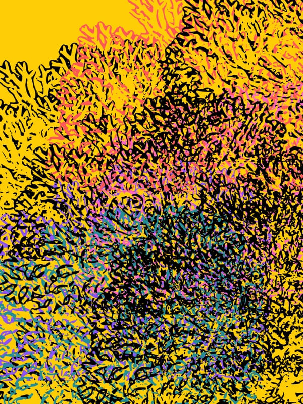 CORES NA VIDA