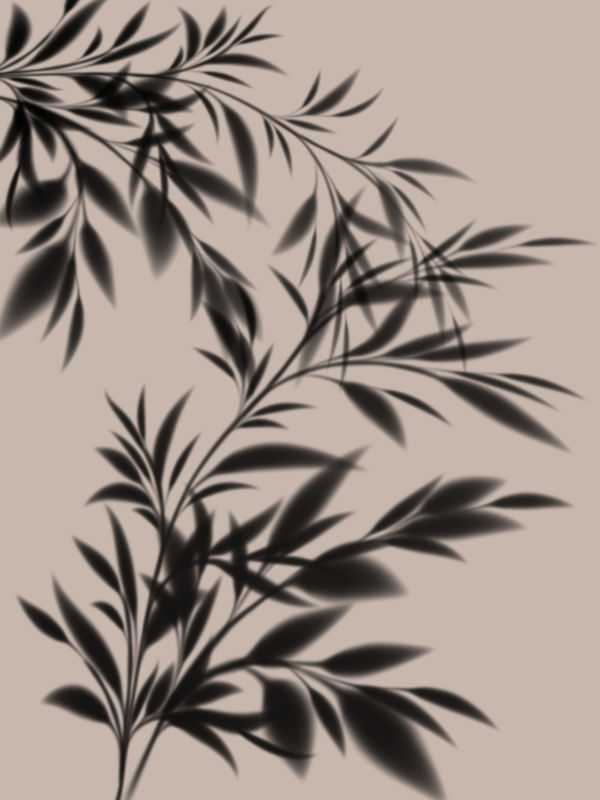SOMBRAS DA NATUREZA