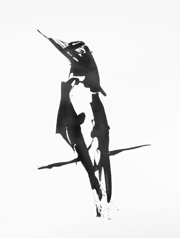 ANDRI BIRDS