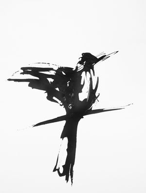 ANDRI BIRDS 3