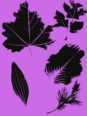 FOLHAS EM ABSTRATO