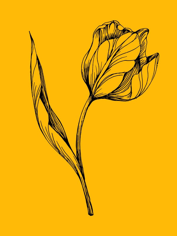 VIDA EM COR AMARELO