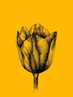 AMARELO FLORES