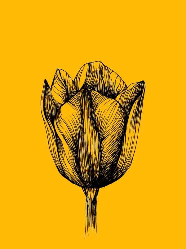AMARELO FLORES