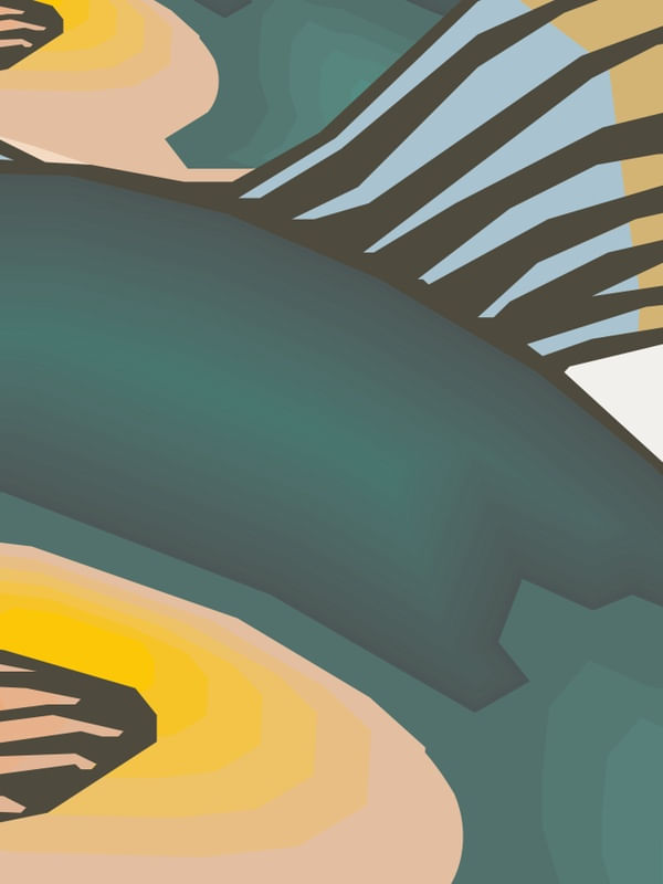 CORES E PEIXES