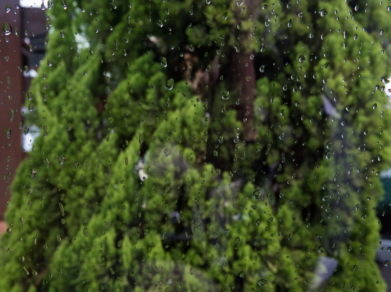 CHUVA NO VIDRO