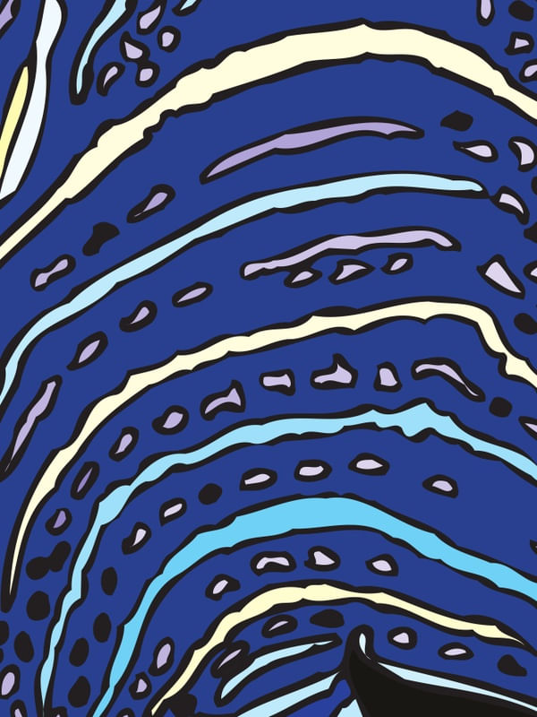 AZUL E SUAS CORES
